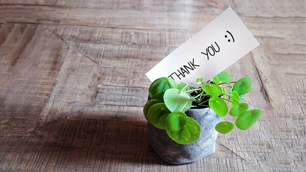Ein handgeschriebener Dankes-Gruß steckt in einer Pflanze
