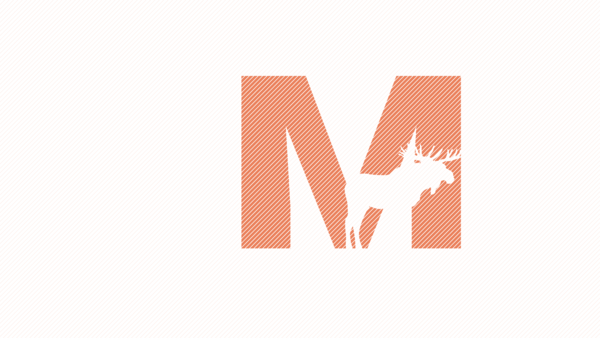 Wallpaper Animal Moose